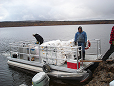 Farm Work Boat